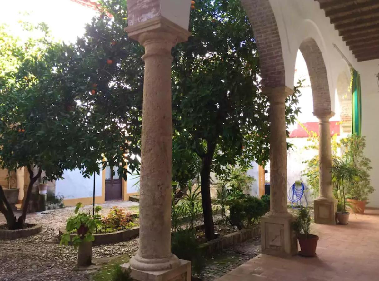 Comfortable House In Cordoba, Ideal For Families And Friends